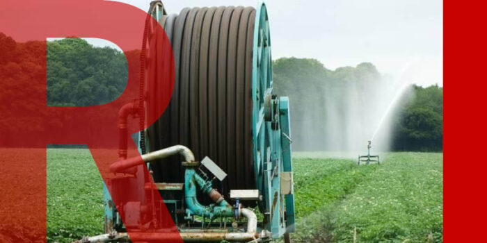 A crop field with a large hose spraying water over the green leaves