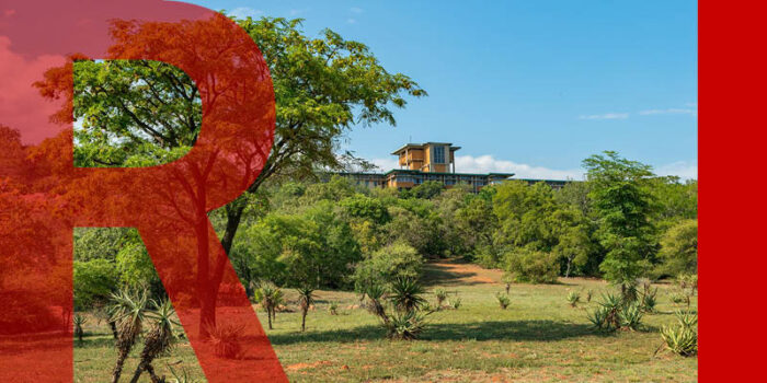 Pretoria's botanical garden with shrubs and trees under a blue sky